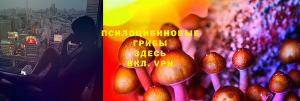 гидра Алзамай