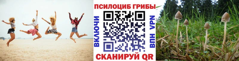 МЕГА ссылки  Чёрмоз  shop как зайти  Псилоцибиновые грибы Psilocybine cubensis 